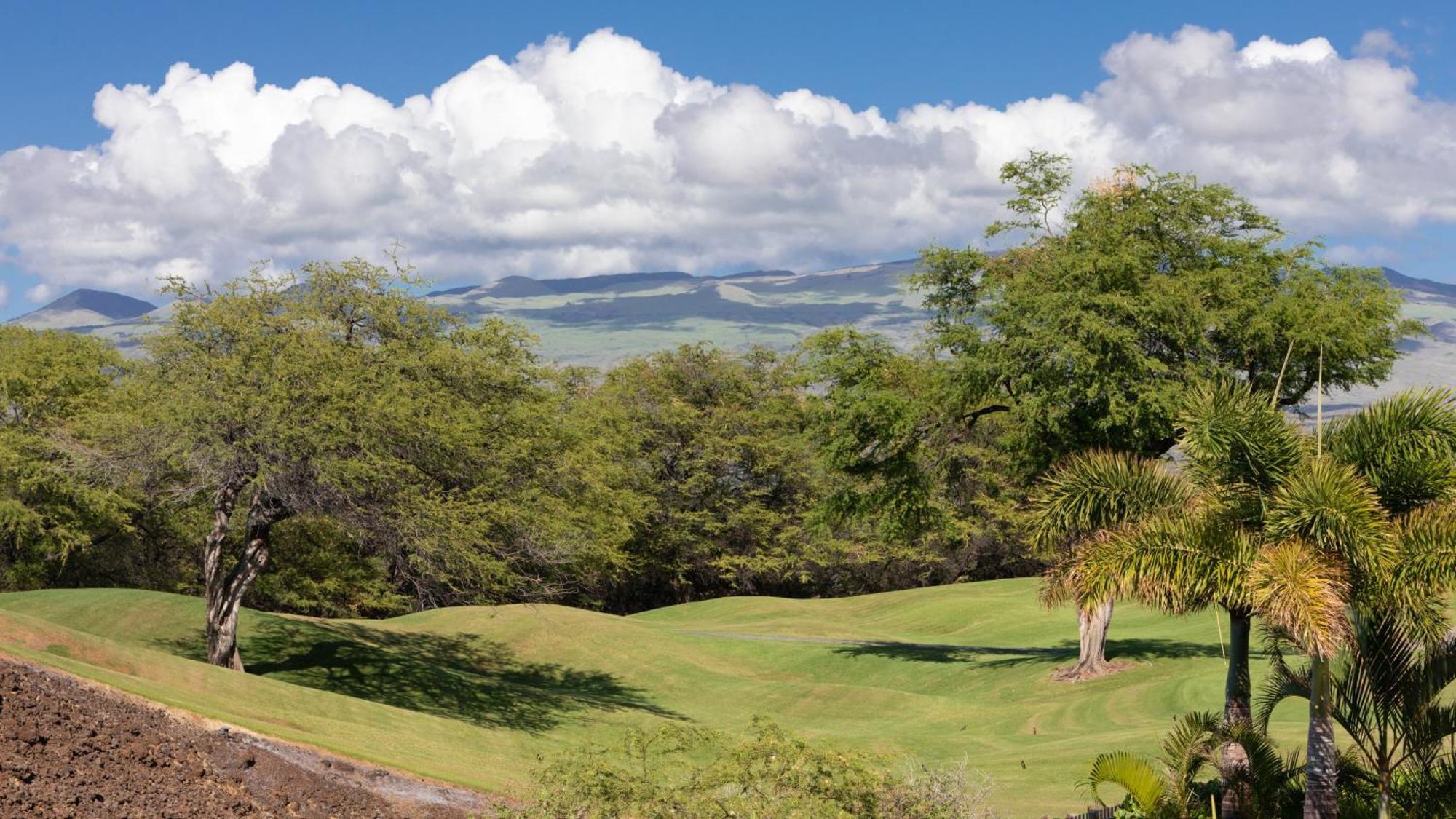 Hawaii Coral Villa Light And Airy Kamilo 4Br Home With Spa Heated Pool Waikoloa Exterior photo